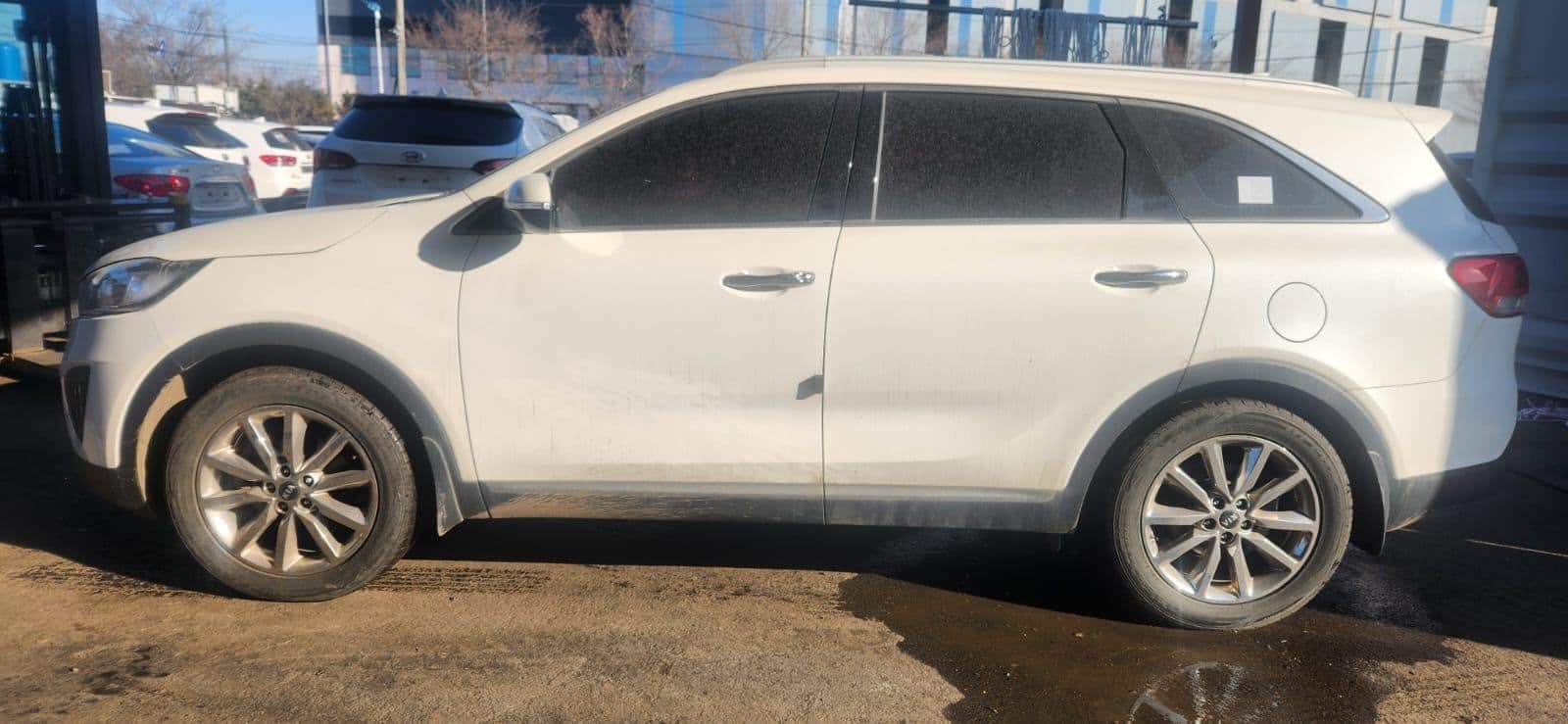 Carify Korea car delivery photo